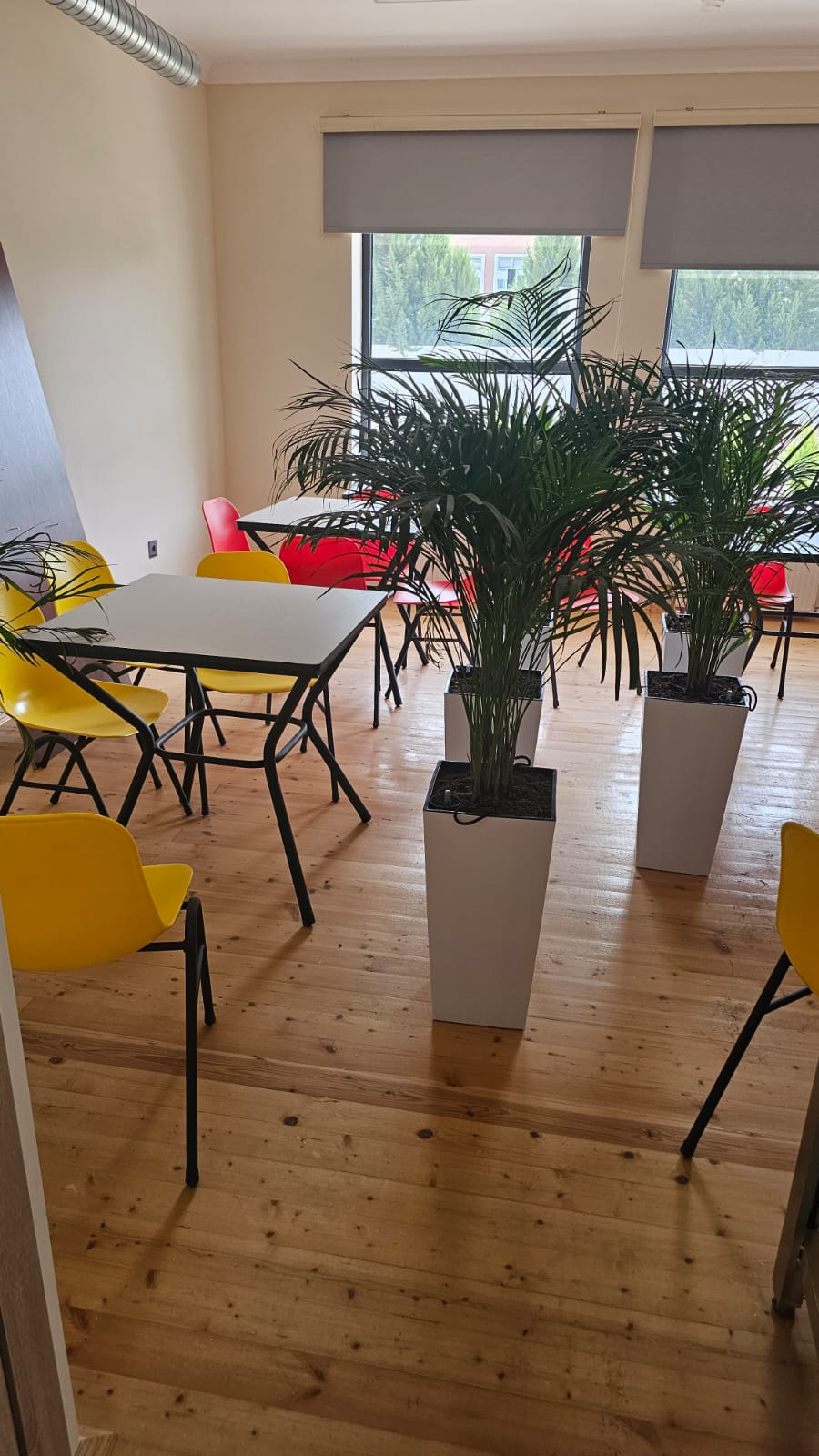 Lənkəran Dövlət Peşə Təhsil Mərkəzi